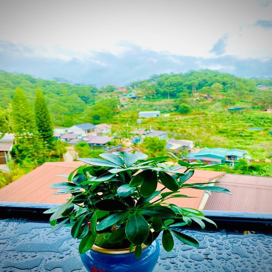 Pine Forest House Dalat 外观 照片